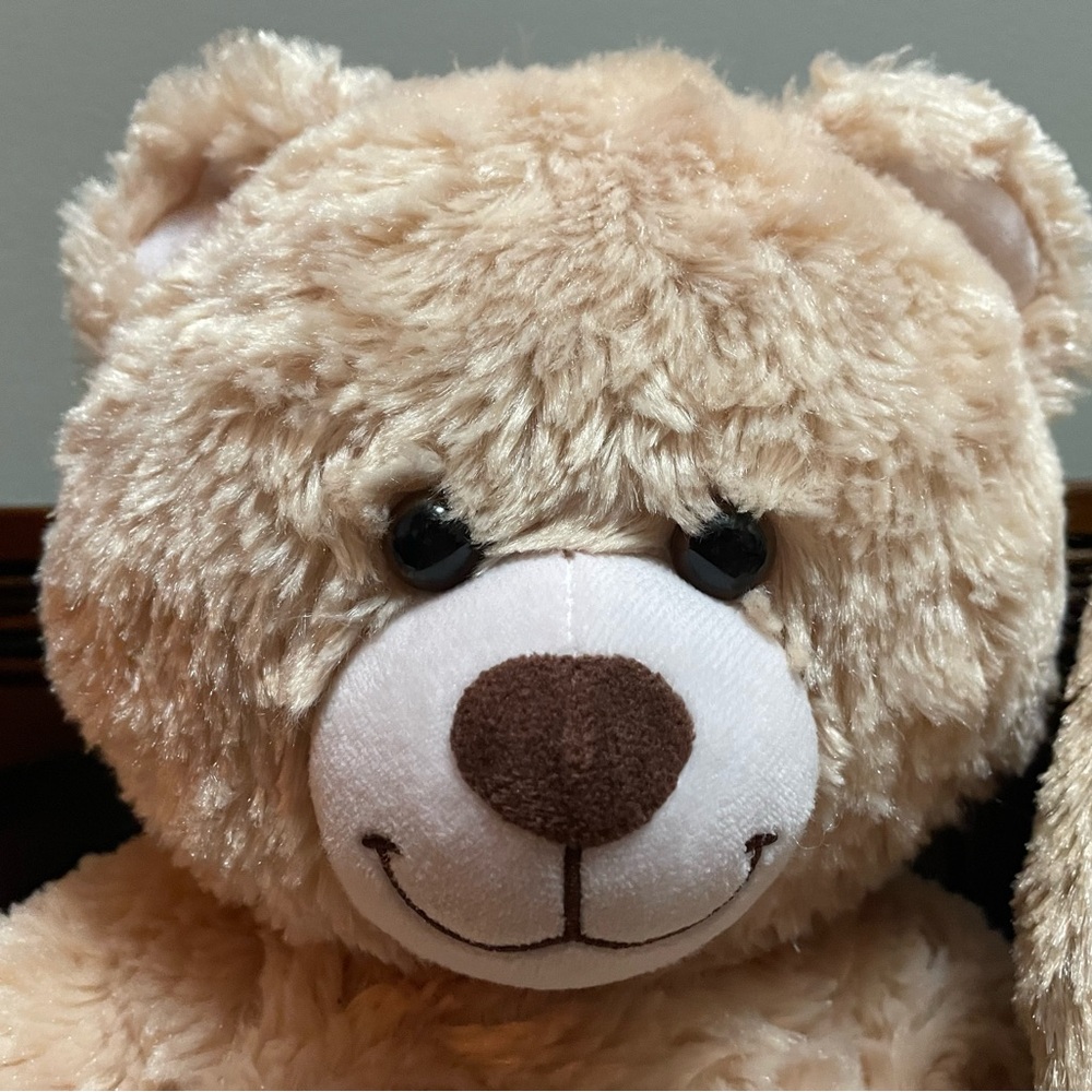 Build-A-Bear rabbit and bear set. - Picture 2 of 13